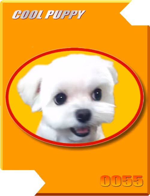 Item #21477548388787063266658748687199700189937005018840532589754440404114482397185 Media