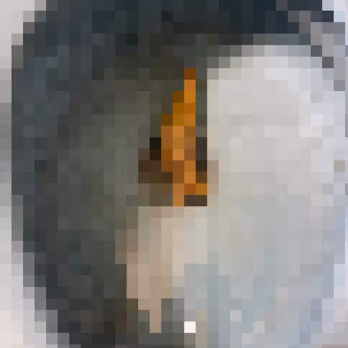 2850415134272365380187775685678842410458265265709128331682257552455258603521