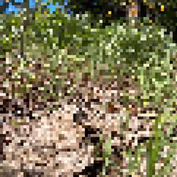 2850415134272365380187775685678842410458265265709128331682257546957700464641