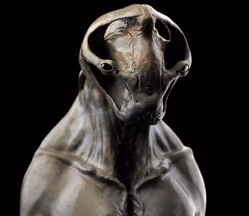 Item #97107590523923761146299885224419256175613868444109951227489717513465406423041 Media