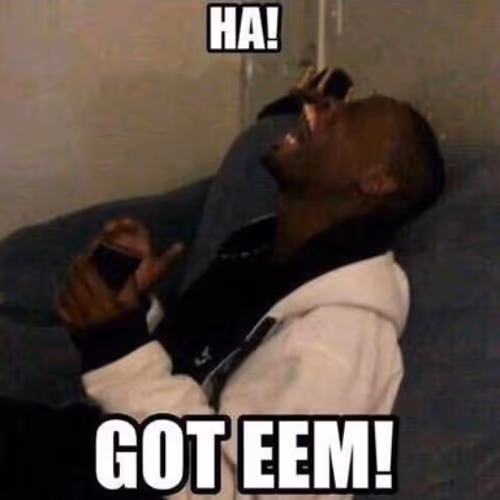 Untitled Collection #2010330