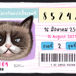 Lottery Cat 07