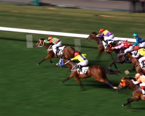 Untitled Collection #173158968