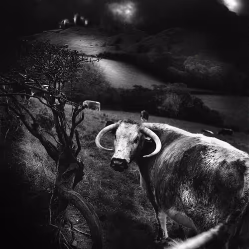 40160686583094733528677484039903516258611509642019211679321071635391072698369