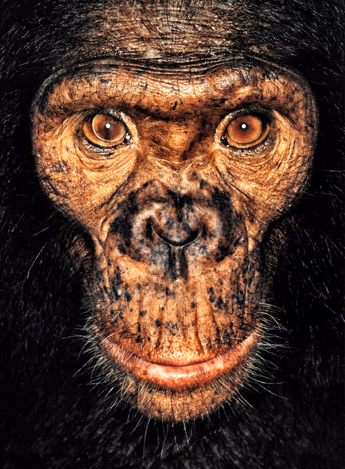 Item #109162157552346088047496633038404394118504199992061596446112929720578896560129 Media