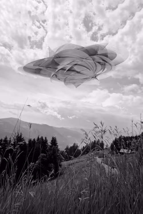 Item #70289046270216540615569387337235414738610929699744131839351085663562894409729 Media