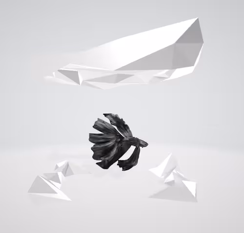 Item #51469611711682485965572744042228373091650377160932834153506103204009484484609 Media