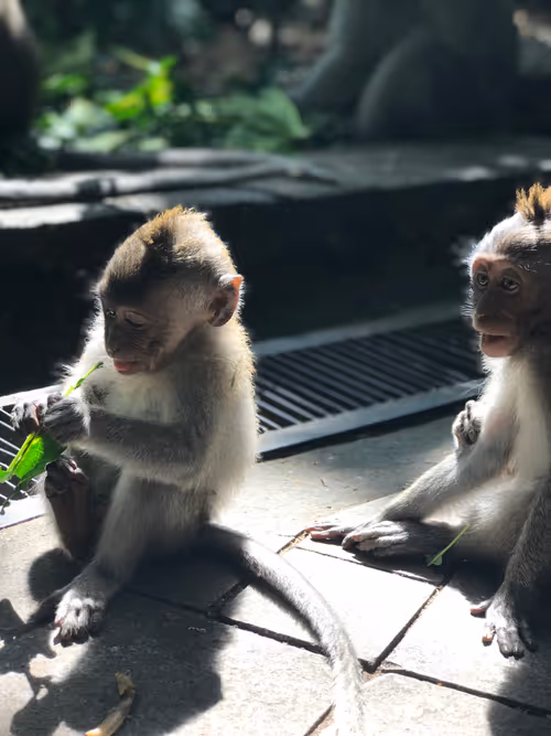 Item #87609363842710465991682086975489356954214862869006387514816886307743432966145 Media