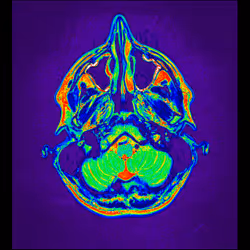 64162533542198579898252916190583583845604629893829087458582975685319366541313