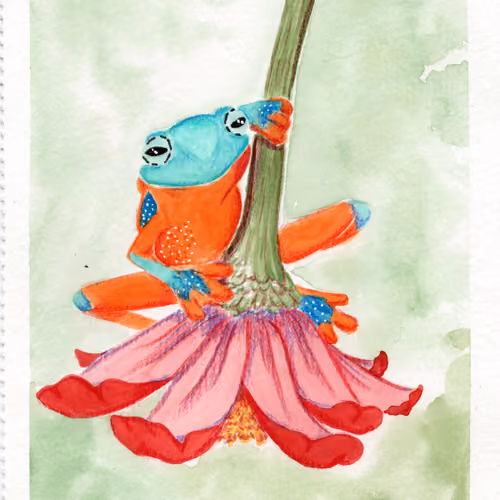 Frog on flower