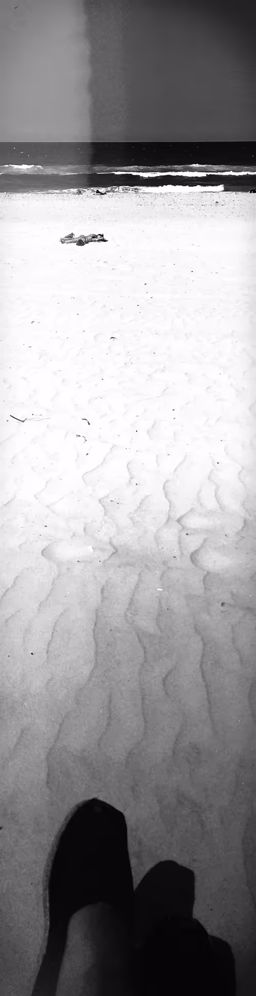 Item #49048760806429292957324630330147157357698457263159143578311043241370919632897 Media