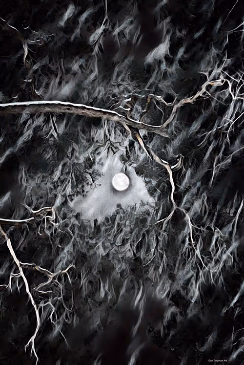 Item #20023781592906440860682440486722008907046268969151224076897509384385822982145 Media