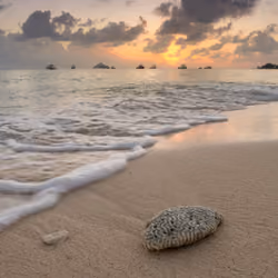 Grand Cayman Beach Coral at Sunset