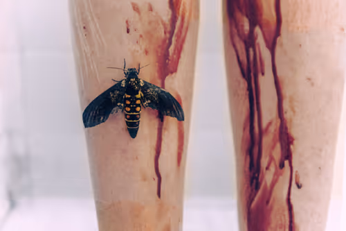 Item #91197645356658558939675614627603270667924620975267700772081319392222445043713 Media