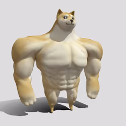Elon