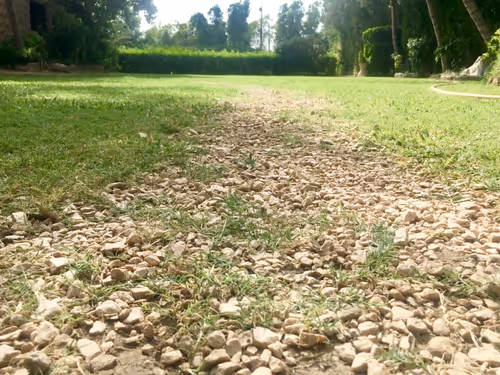 Item #68930698527264809190468656590261820993623292496804910864436067690920647065601 Media