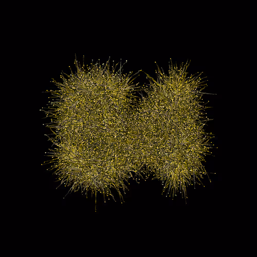 Item #31186271462743839332083495437684930572283654238385709344730710925622265249793 Media