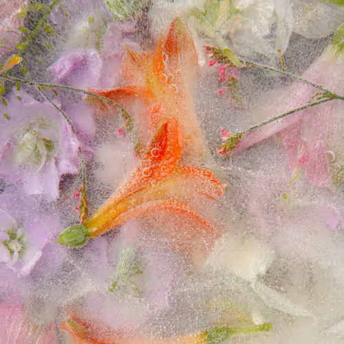 Item #80829721372825377784010953381890255518558028243098186913878117659694455586817 Media