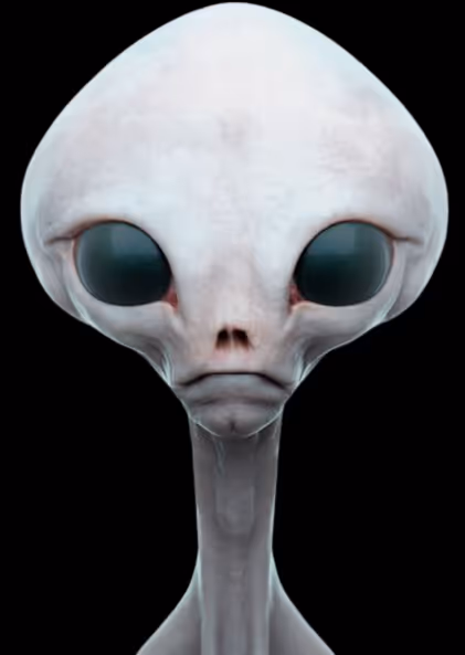 Item #97107590523923761146299885224419256175613868444109951227489717521161987817473 Media