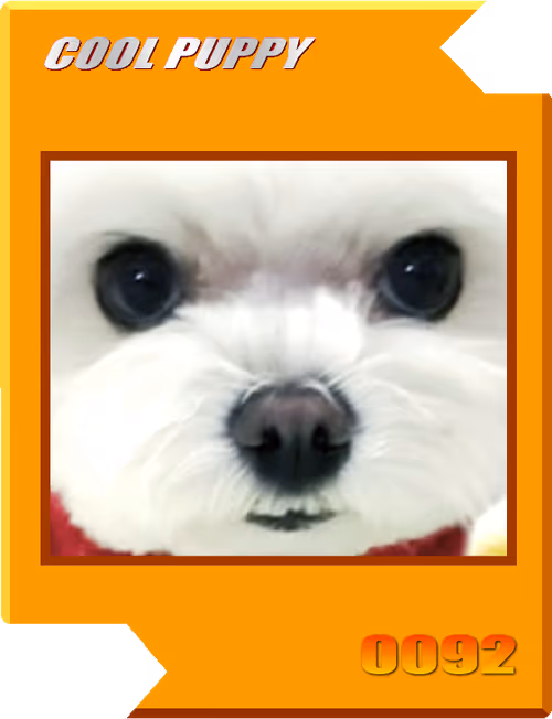 Item #21477548388787063266658748687199700189937005018840532589754440460189575413761 Media