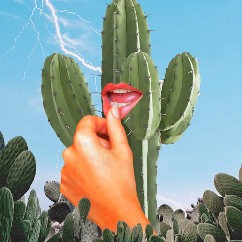 Cactus Juice