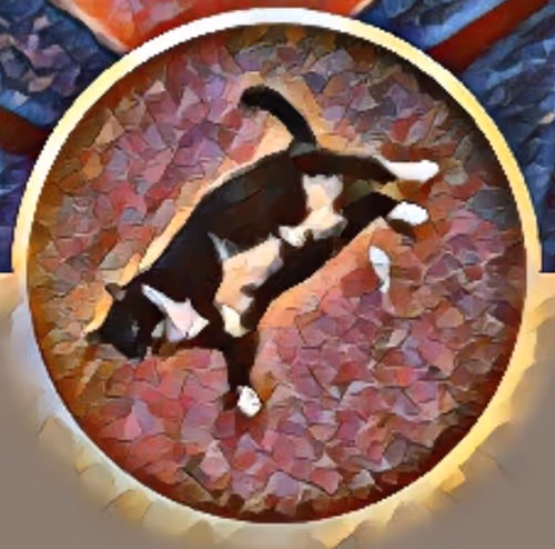 Item #3700553934167257069696509252628292804332782858597936228275578994597134598145 Media