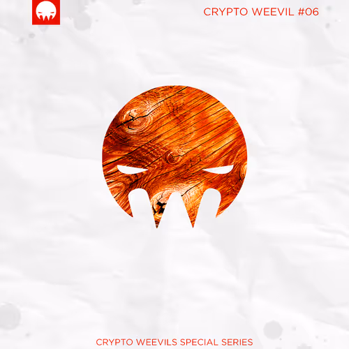 29314157866463614573355053931398882925484977285626546525081320691165751672833