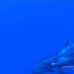 80965803268169370603932631570667161375508893671094224909166964186486063235073