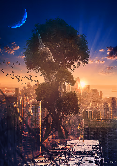 Item #17724515952346622634837609220686991745023018458534953337786578856086524133377 Media