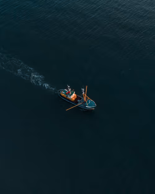 Item #3461261320663593426900354360876375017663922749216533272399435663118771945473 Media