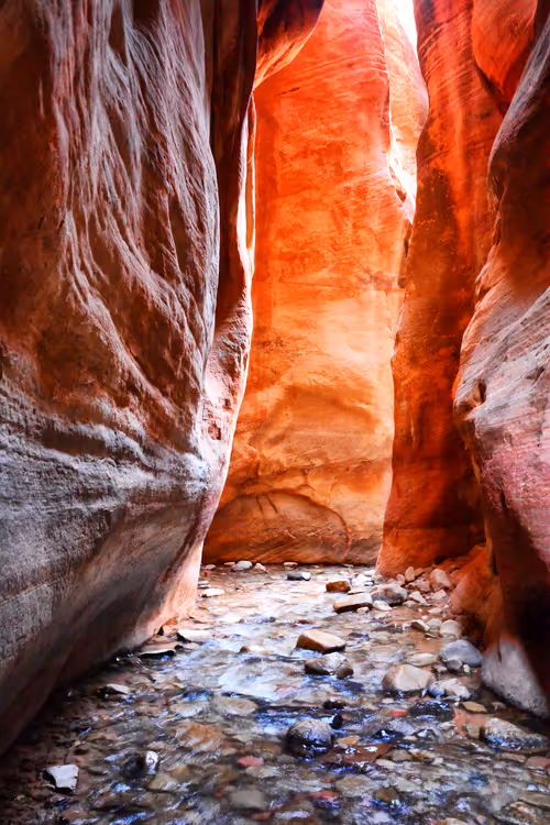 Item #101131428219737421258905358447066100782642881708767495255193714670590752718849 Media