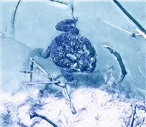 Item #81269833061274051173789884418282317830923519221172308843662164460380352413697 Media