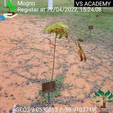 Item #8500196597889277390194123329501889087166328879864934763448348824815825584129 Media