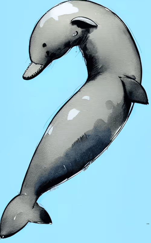 Item #42270962720496970030561919175601799318078474113045824716603066081803369448424 Media