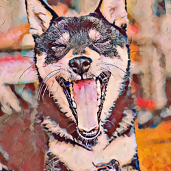 RealSHIB001