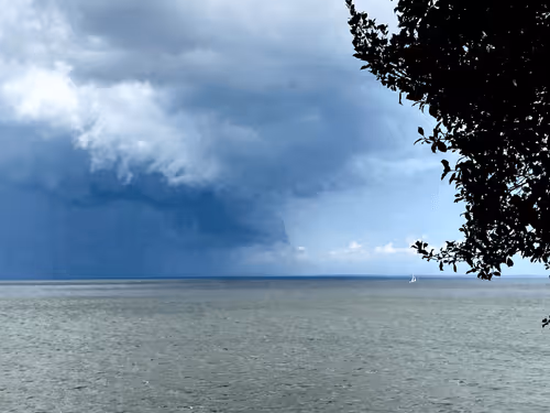 DonoVault Collection