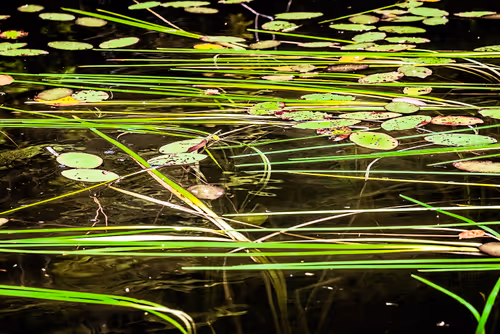 Item #78614967916850878758896281278088562819031429561597845143063368113558409707521 Media