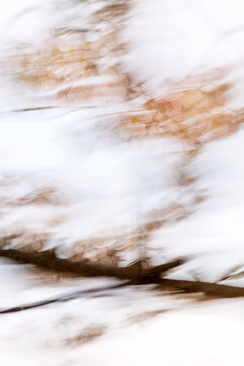 Item #109324241340754765725829693212730102349942568956095658267195131887585364803585 Media