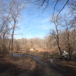 Ridely Creek #7