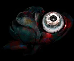 Item Media