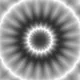 83208657713041131308913028265523739621191499889349620913632724245952696680449