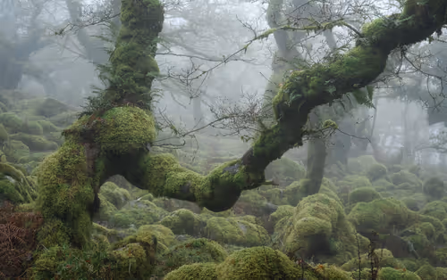 Item #72639390708267126639436568569652760193401123475841185469851730210374283165697 Media