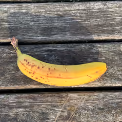 Banana Art Basel #52