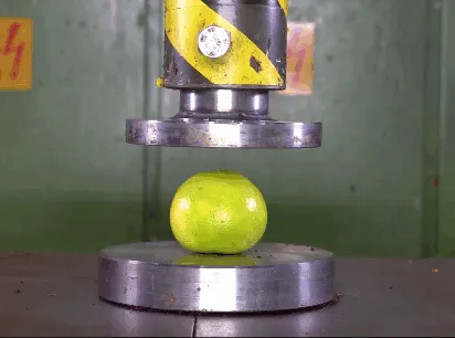 Item #51845589138248531294593418479039735952453489235461489114075288008514271707137 Media