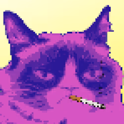 4277533251867554503033830801493618956121864678661004551727811262828037275649