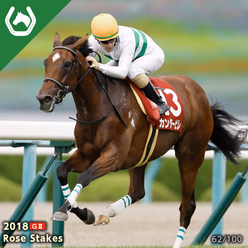 Item #32261650021671989586304276228843745151688097955636395340171962797342538596353 Media