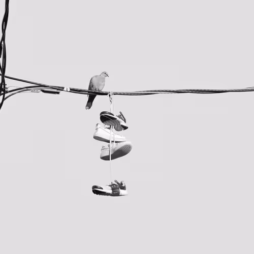 44231692163325033527706634296024509461007343983716307526579858984638563221505