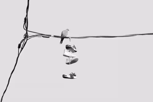 Item #44231692163325033527706634296024509461007343983716307526579858984638563221505 Media