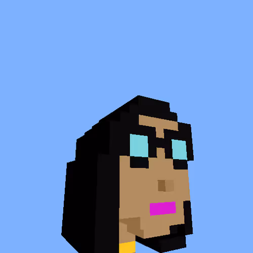 PunkVoxels #6667