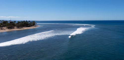 Item #38069088421557280780080489884356511775313840977413642295707171776456298594305 Media